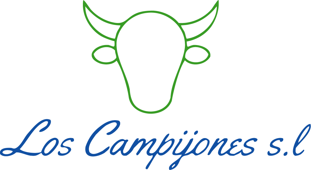 Logo corregido LOS CAMPIJONES web