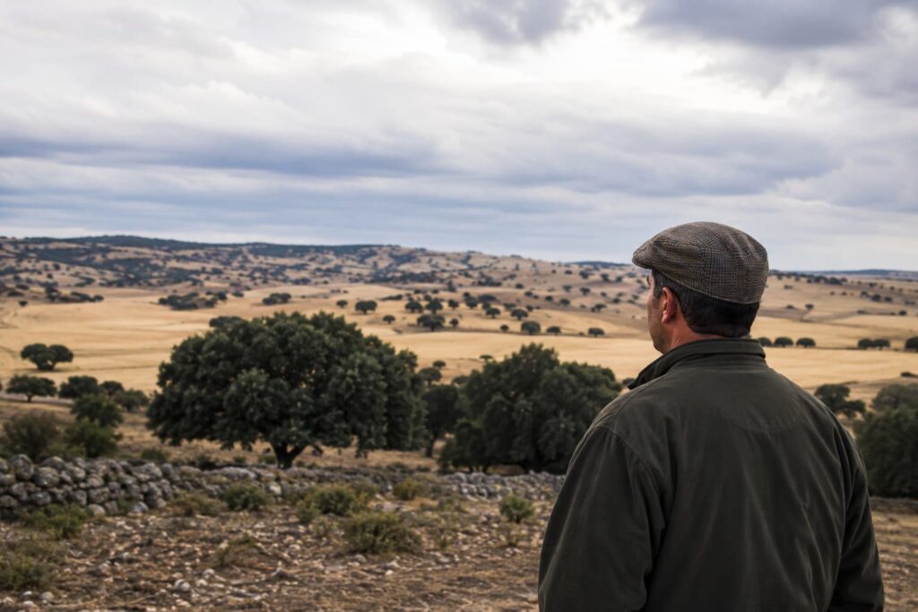 Ganadero observando una dehesa de Salamanca relacionada con la gestión de derechos PAC