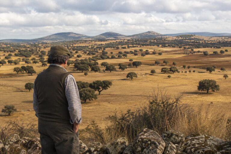 Agricultor observando una explotación rural en Salamanca antes de consultar derechos PAC
